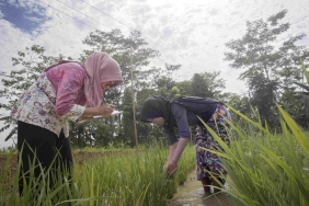 PENINGKATAN KAPASITAS MASYARAKAT TAMAN NASIONAL UJUNG KULON